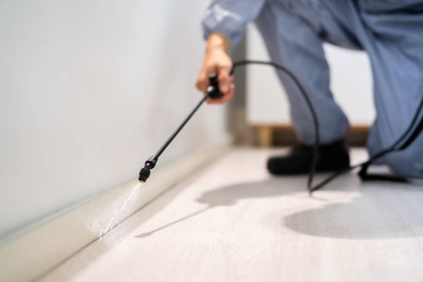 Licensed Pest Control service in Raceland, LA - Show Me Pest Control