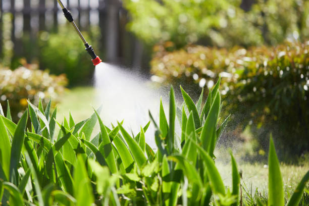 24/7 Emergency Mosquito Control experts in Raceland, LA