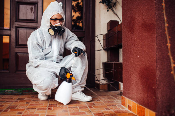 Reliable Mosquito Control contractor in Raceland, LA by Show Me Pest Control